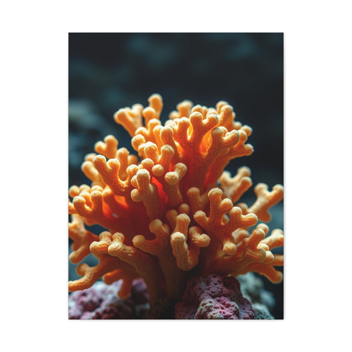 Supreme Coral Art Collection Wall Art & Canvas Print