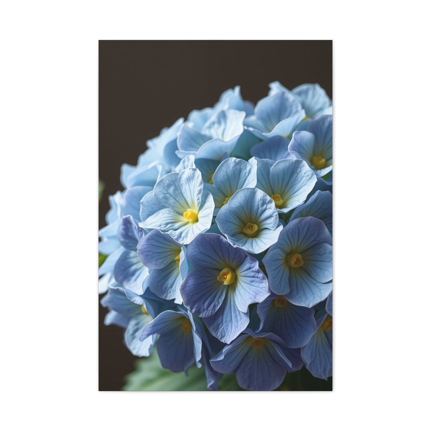 Hydrangea Flower Art Refined Canvas Wall Art & Canvas Print