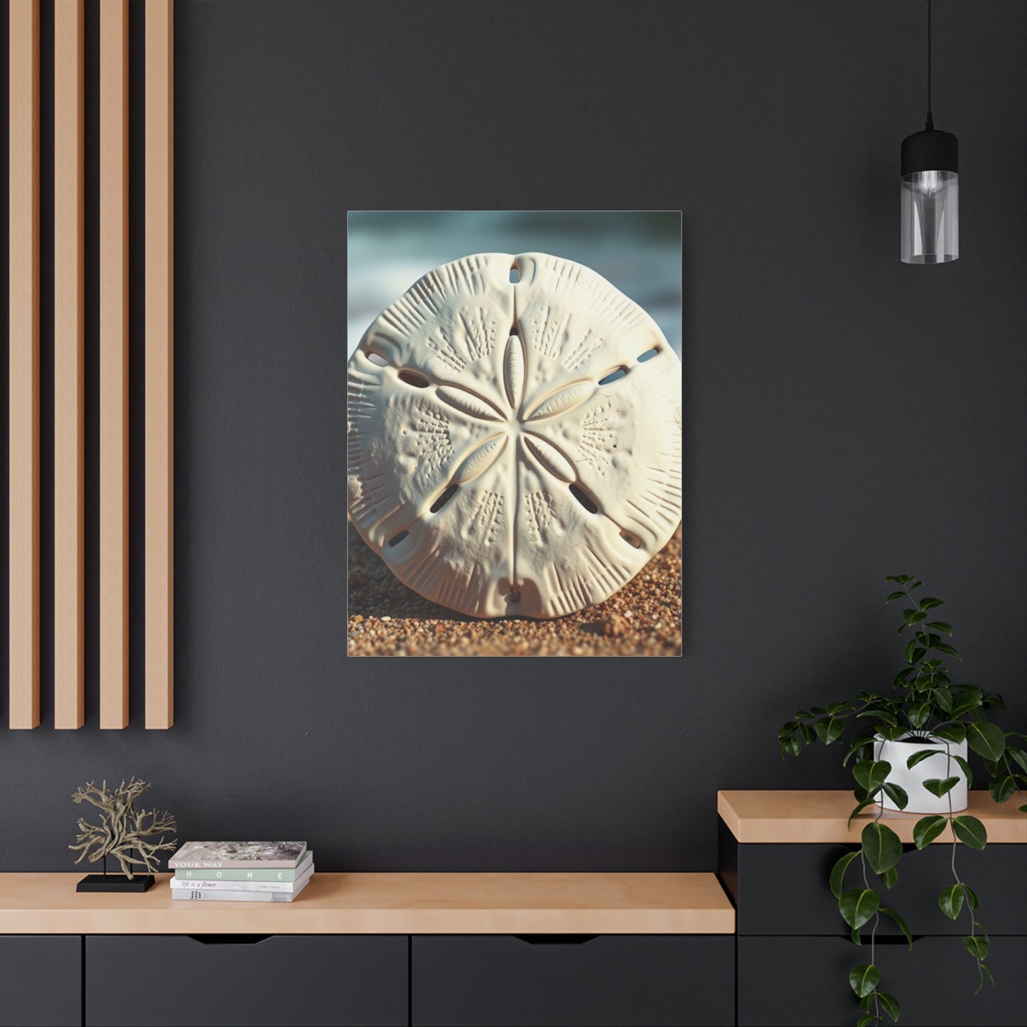 Supreme Sand Dollar Art Collection Wall Art & Canvas Print