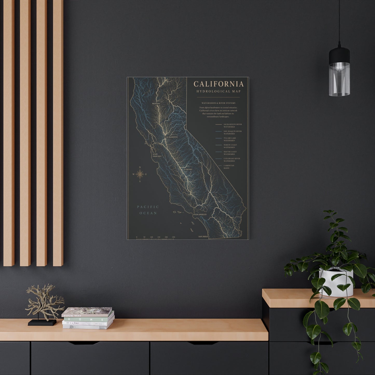 California Hydrological Map Wall Art & Canvas Print