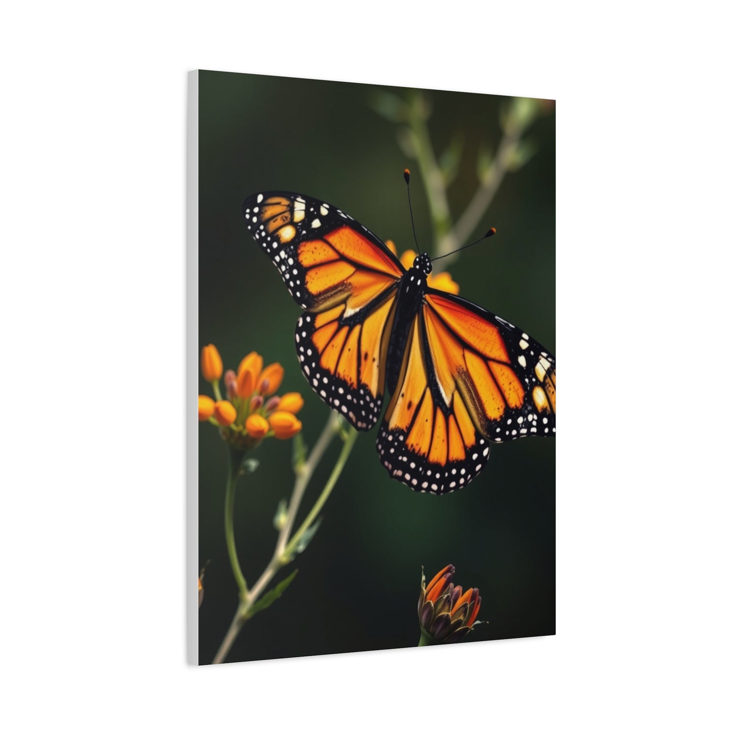 Masterpiece Monarch Butterflies Art Vision Wall Art & Canvas Print