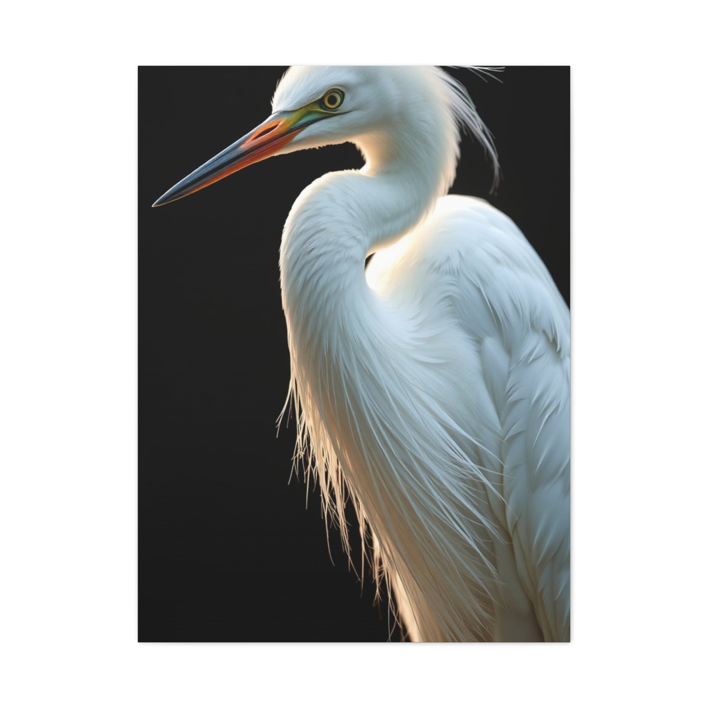 Supreme Egret Art Collection Wall Art & Canvas Print