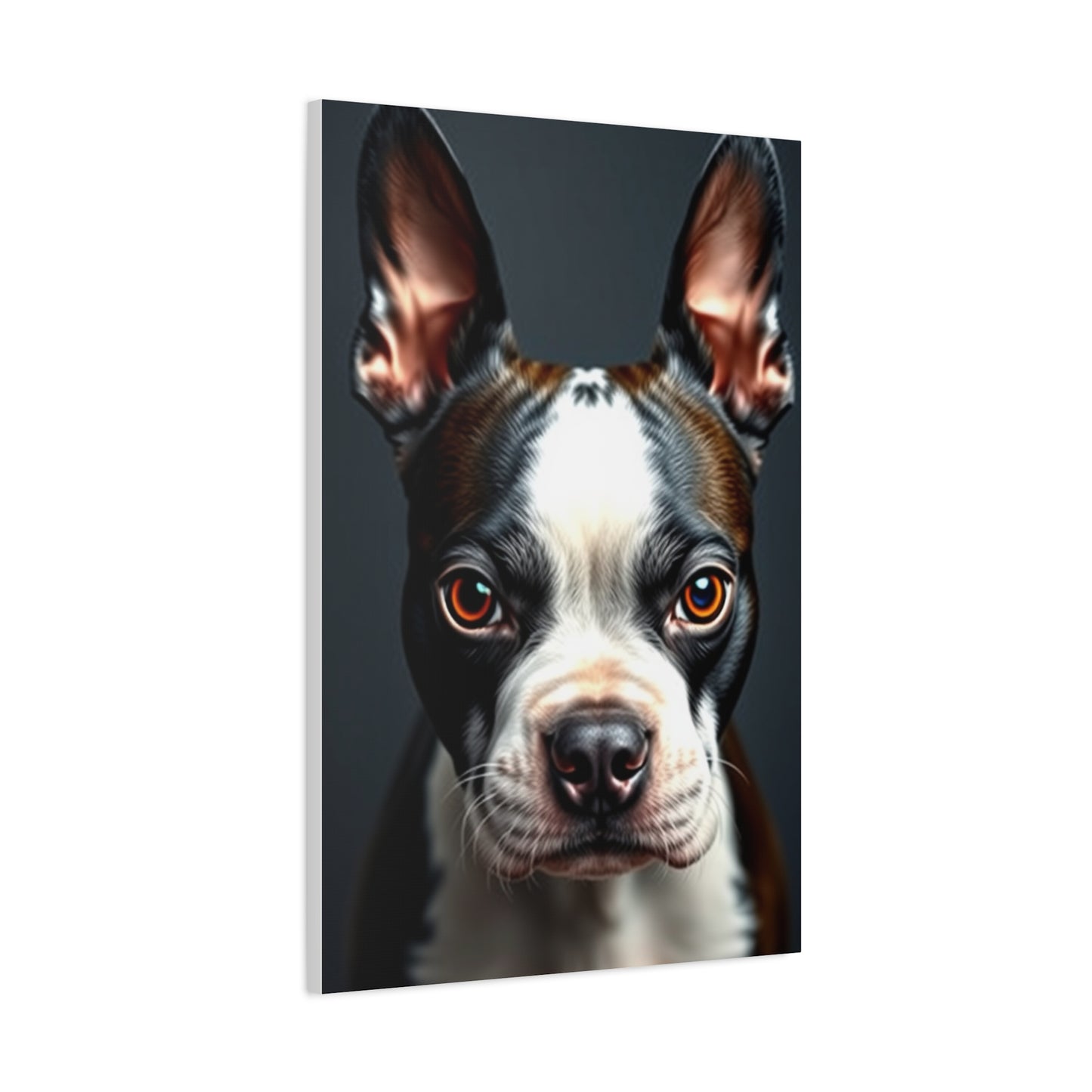 Supreme Boston Terrier Art Collection Wall Art & Canvas Print
