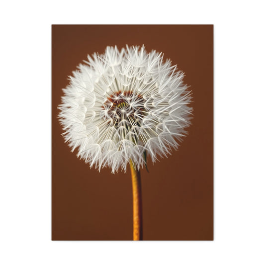 Supreme Dandelion Flower Art Collection Wall Art & Canvas Print