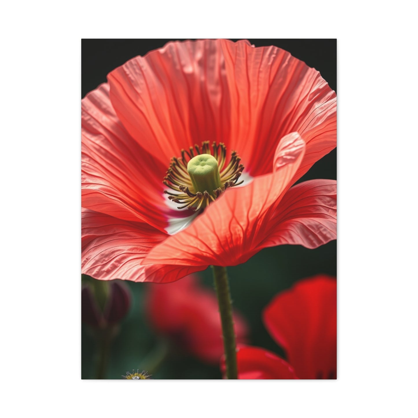 Poppy Flower Art Refined Canvas Wall Art & Canvas Print