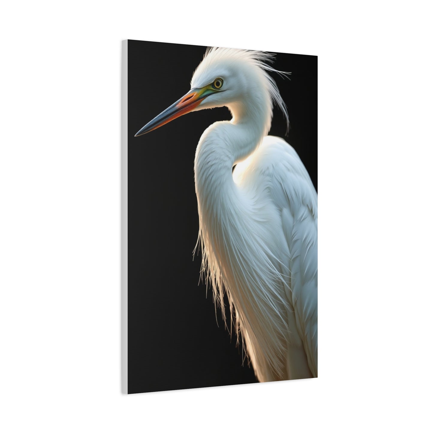 Supreme Egret Art Collection Wall Art & Canvas Print