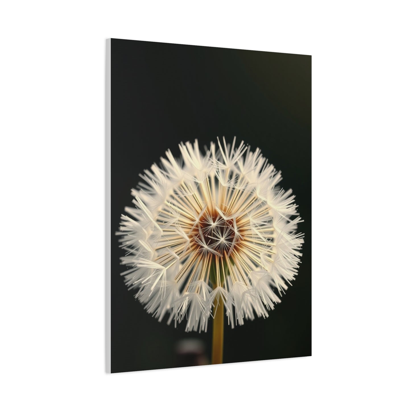 Masterpiece Dandelion Flower Art Vision Wall Art & Canvas Print
