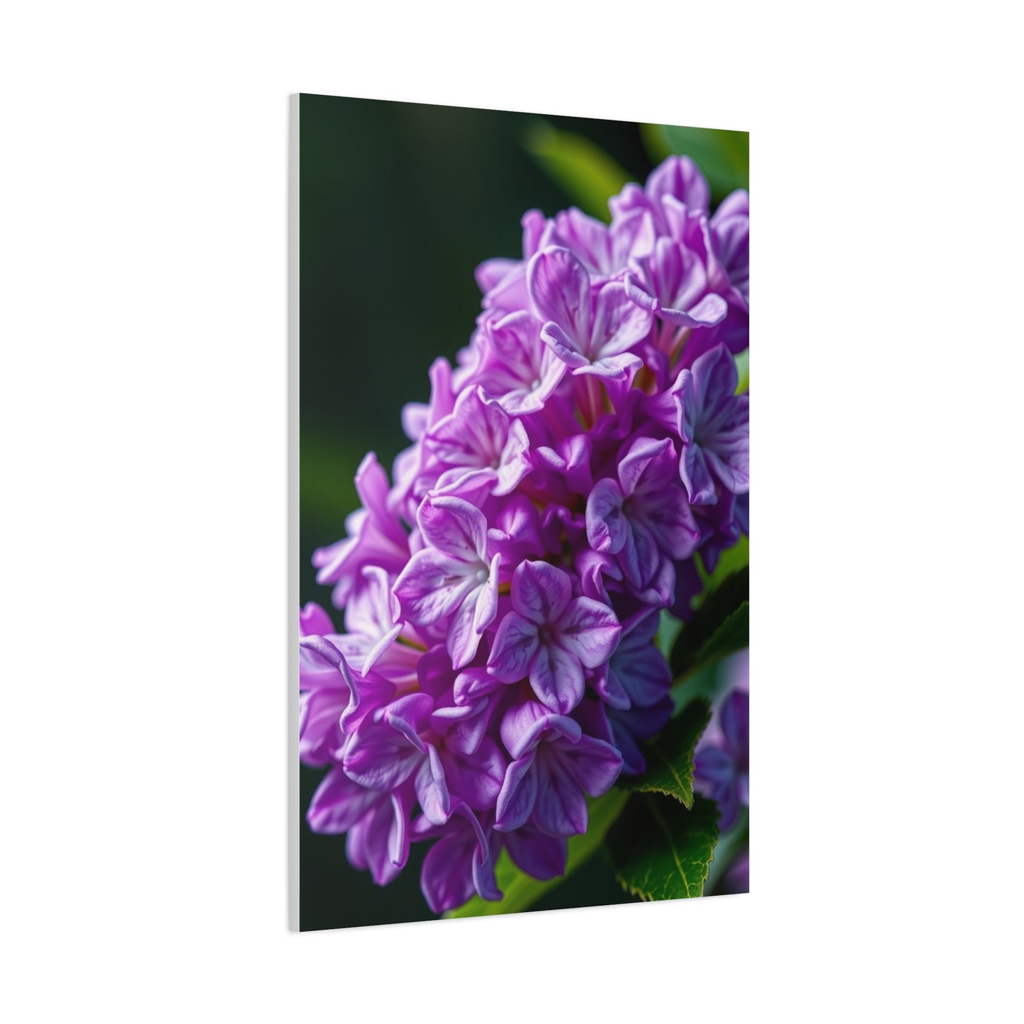 Supreme Lilac Flower Art Collection Wall Art & Canvas Print