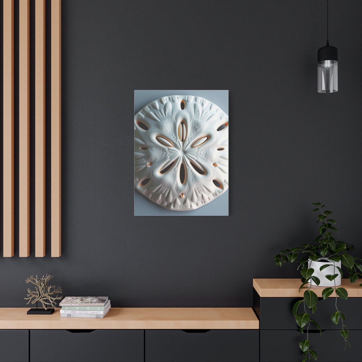 Supreme Sand Dollar Art Collection Wall Art & Canvas Print