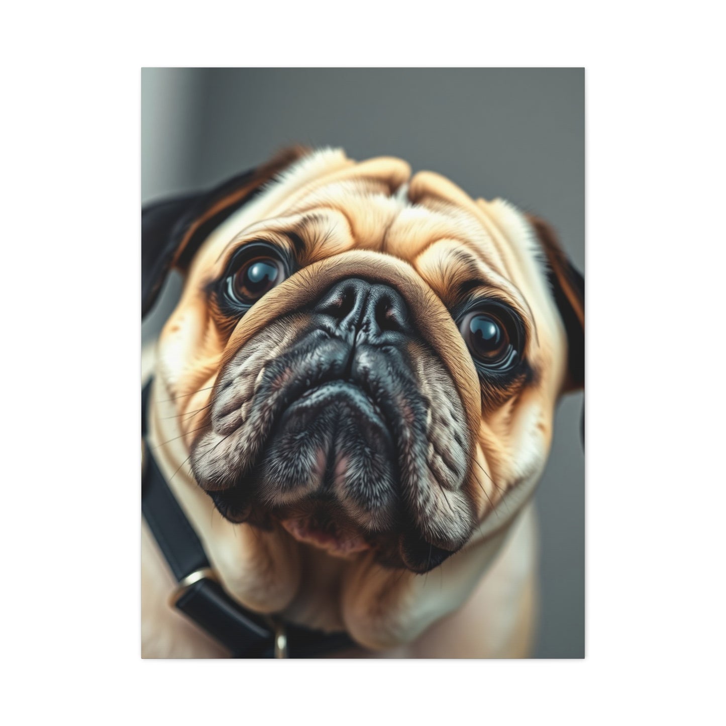 Pug Art Supreme Gallery Wall Art & Canvas Print