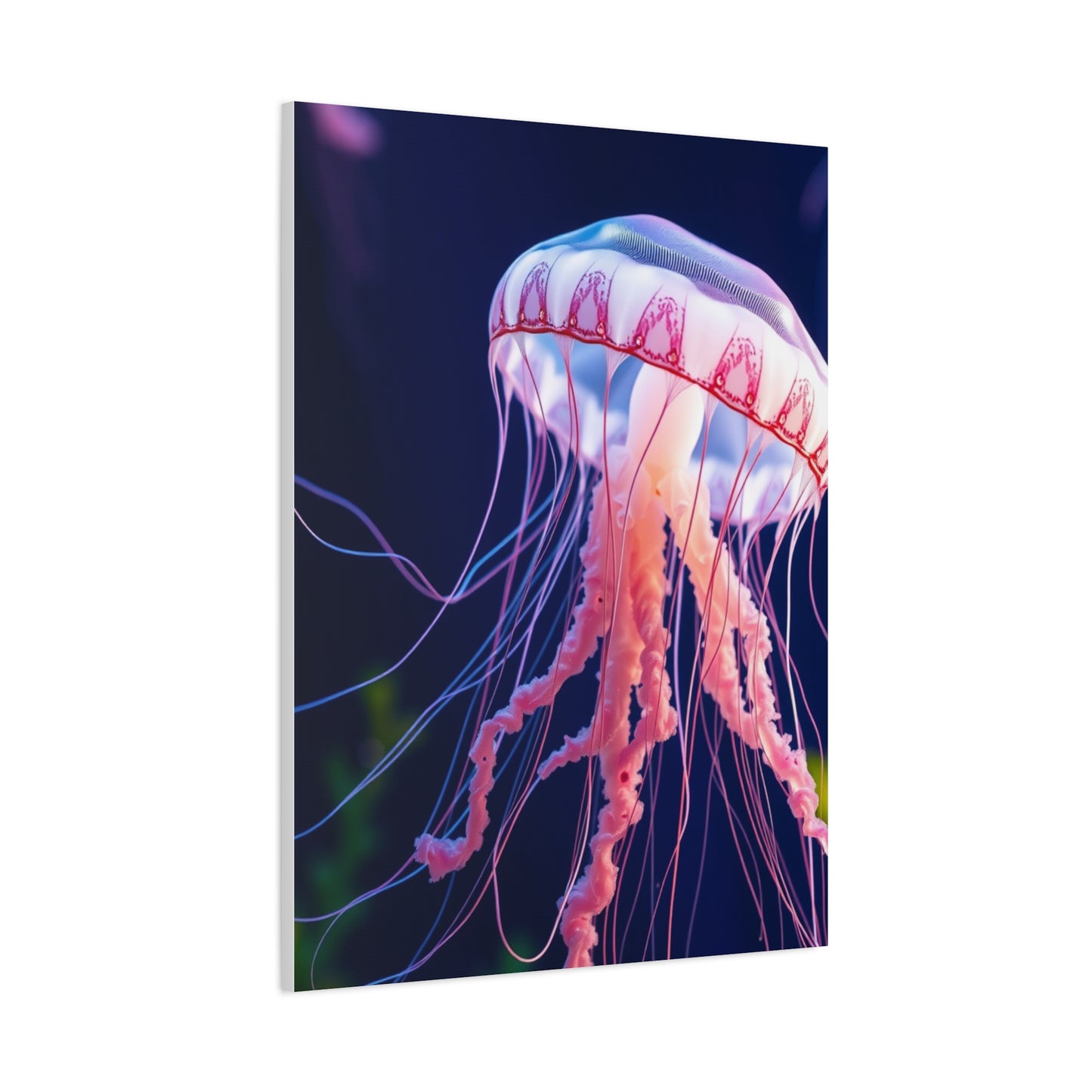 Jellyfish Art Supreme Gallery Wall Art & Canvas Print