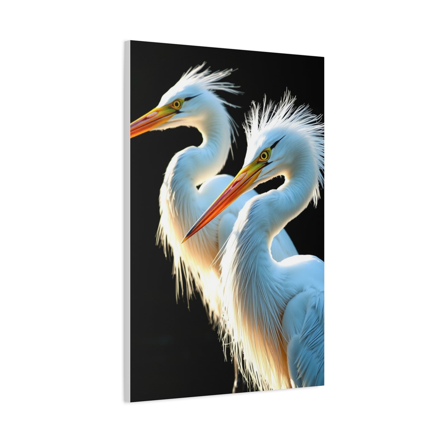Herons and Egrets Art Supreme Gallery Wall Art & Canvas Print