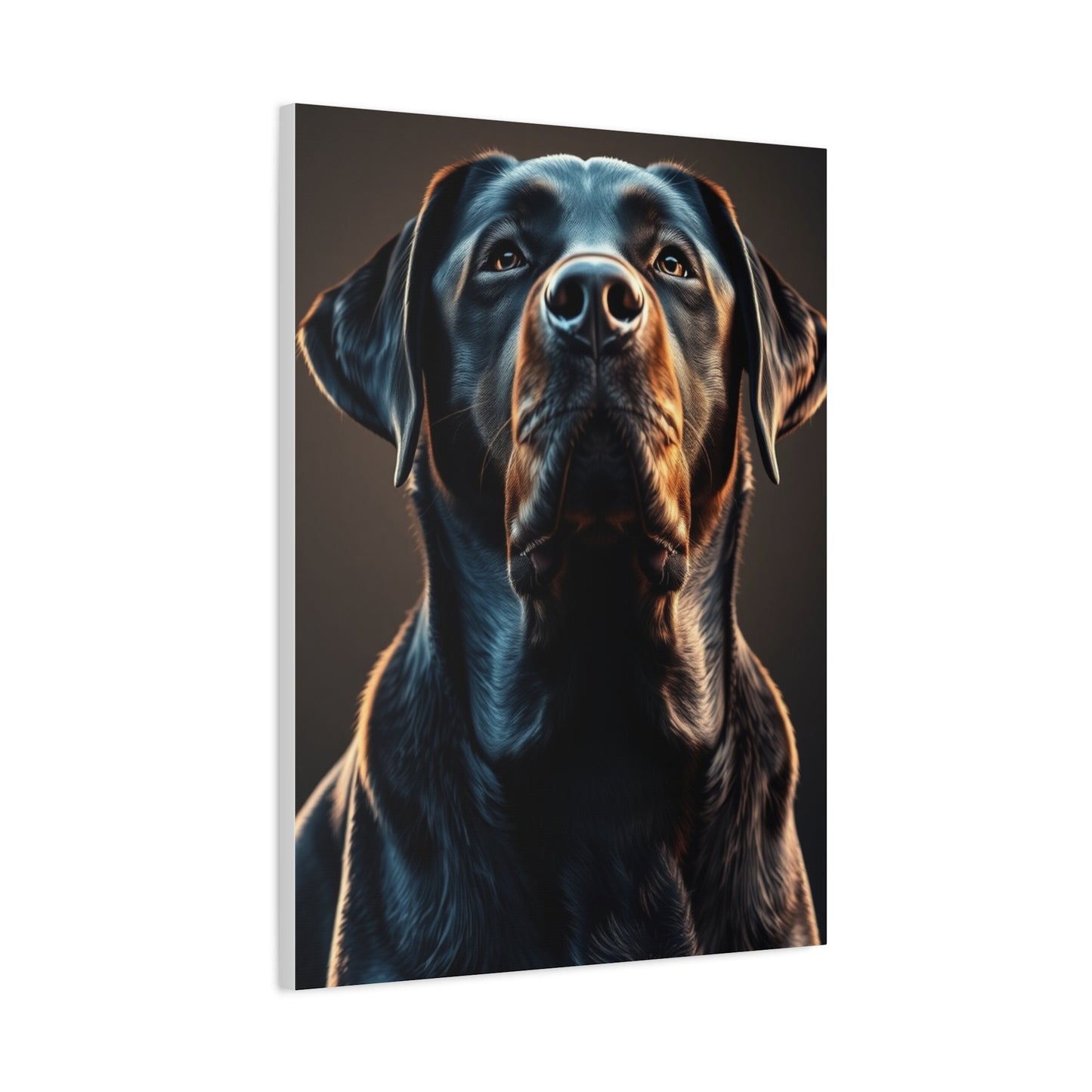 Supreme Labrador Retriever Art Collection Wall Art & Canvas Print