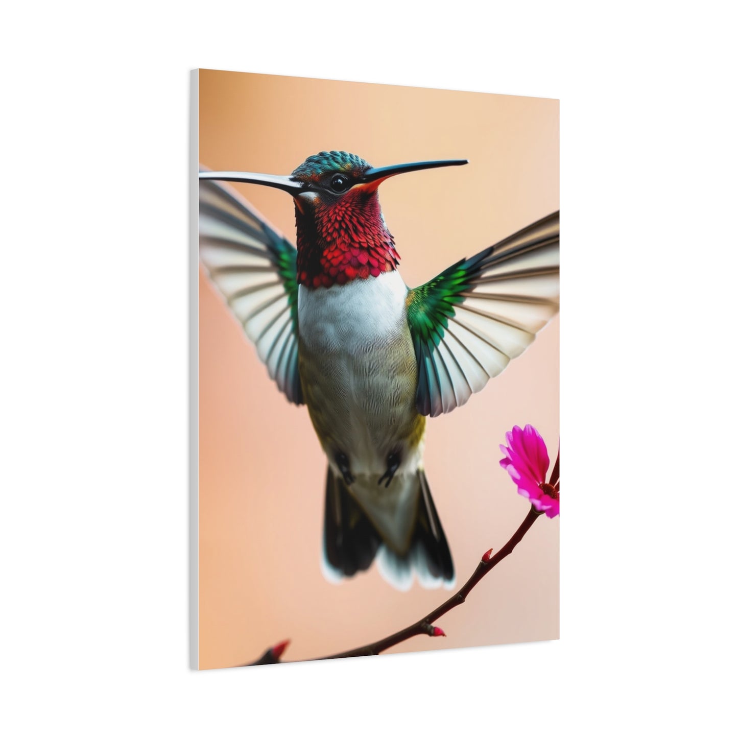 Elite Humming Bird Art Vision Wall Art & Canvas Print