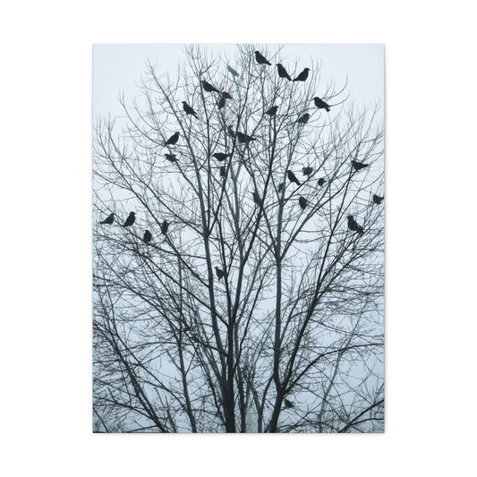 Tree of Crows Silhouette Wall Art & Canvas Print
