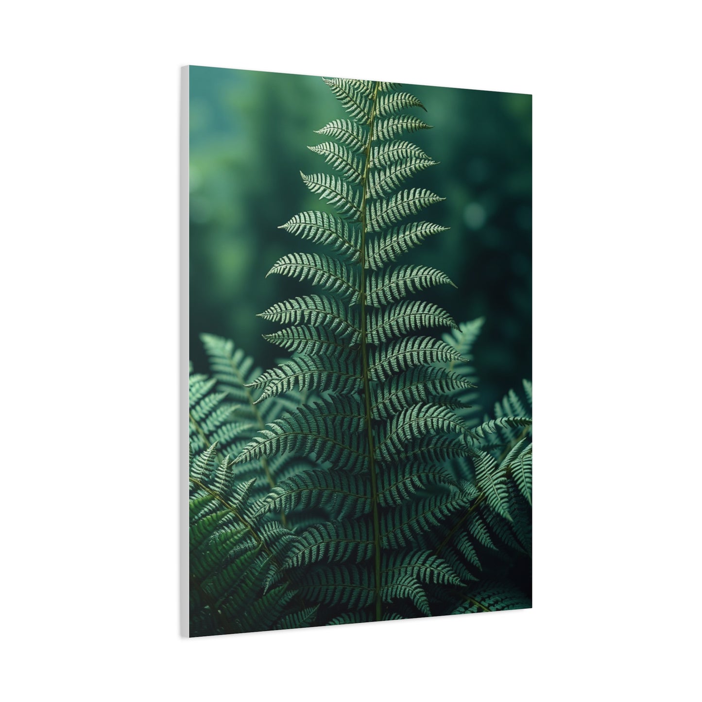 Fern Art Luxury Canvas Wall Art & Canvas Print