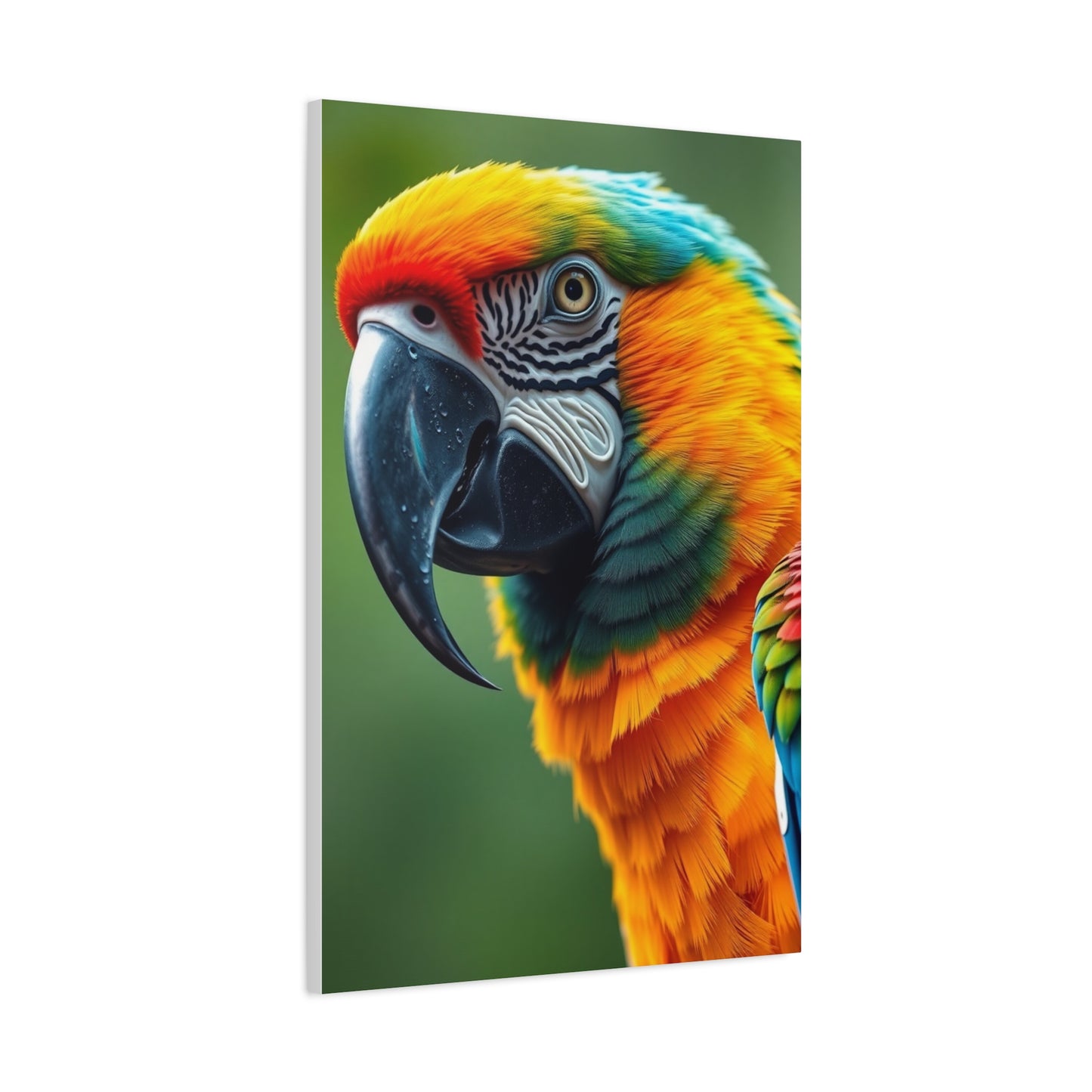 Parrot Art Supreme Gallery Wall Art & Canvas Print