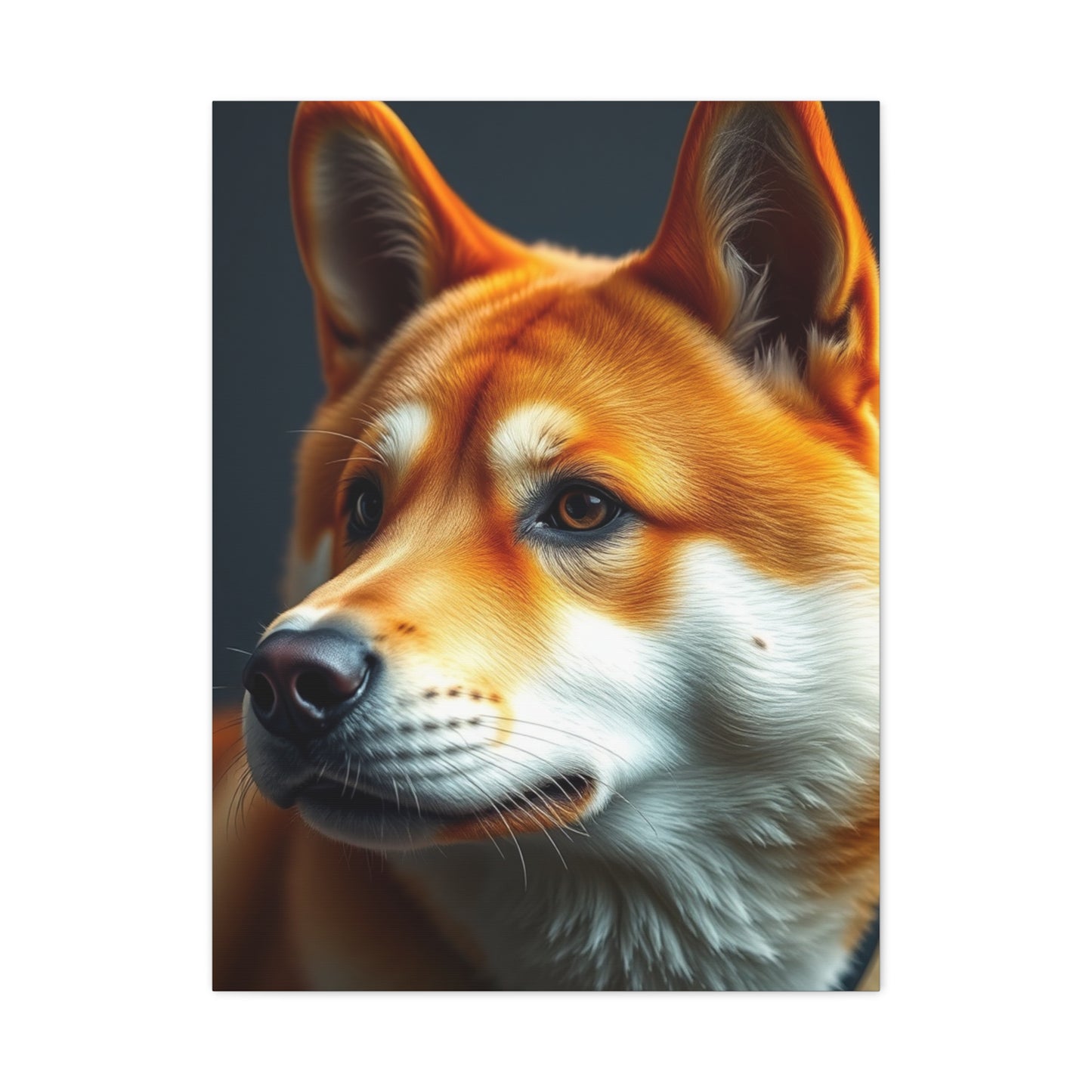 Shiba Inu Dog Art Refined Canvas Wall Art & Canvas Print