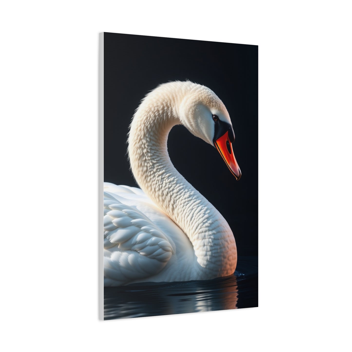 Supreme Swan Art Collection Wall Art & Canvas Print