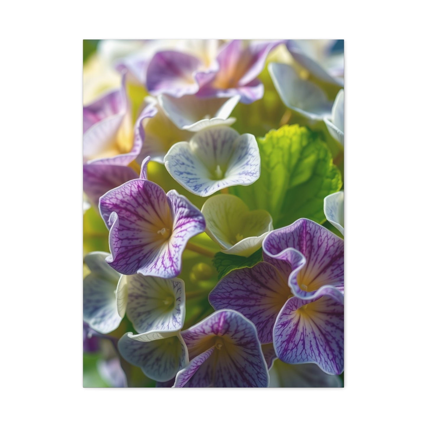 Hydrangea Flower Art Supreme Gallery Wall Art & Canvas Print