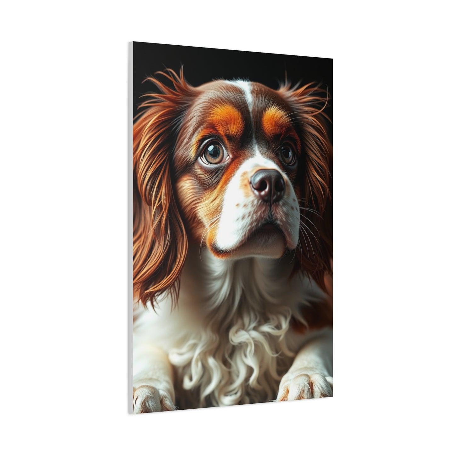 Elite Cavalier King Charles Spaniels Art Vision Wall Art & Canvas Print
