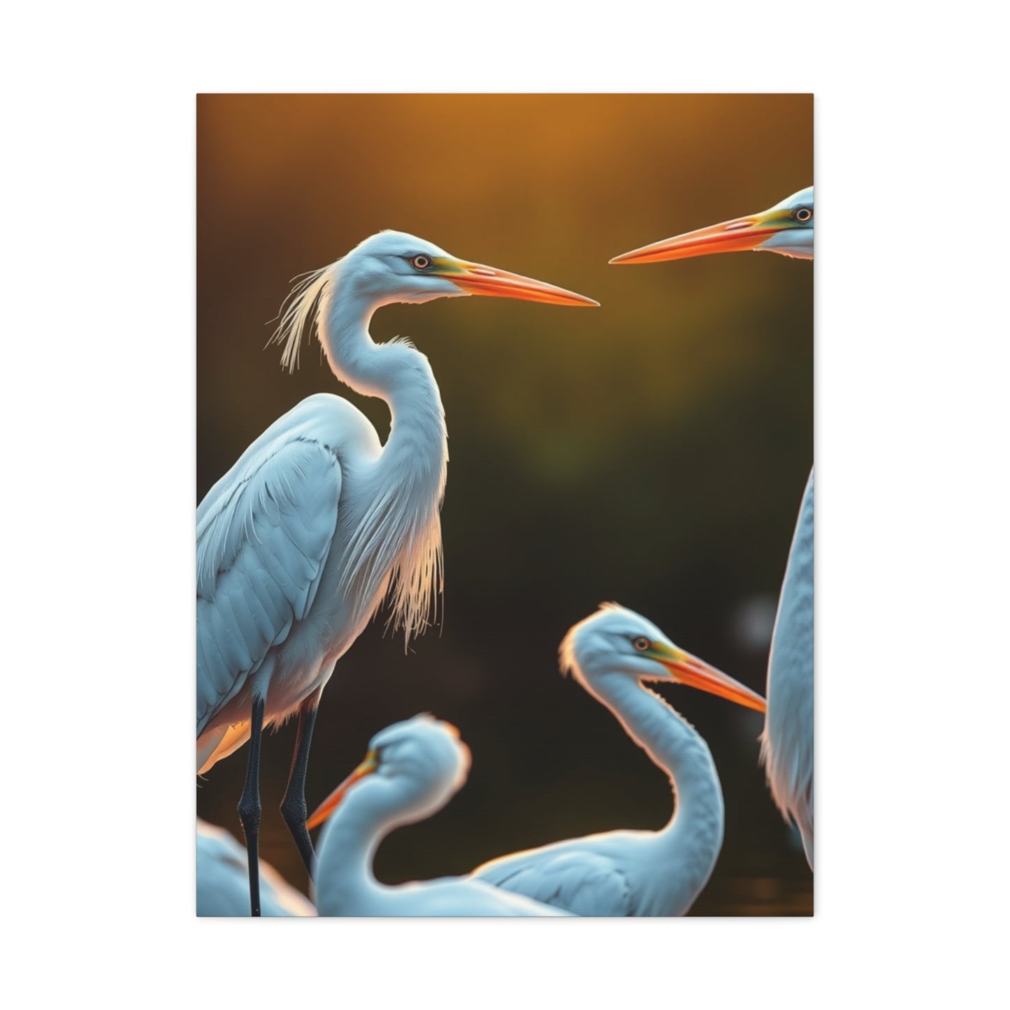 Supreme Herons and Egrets Art Collection Wall Art & Canvas Print