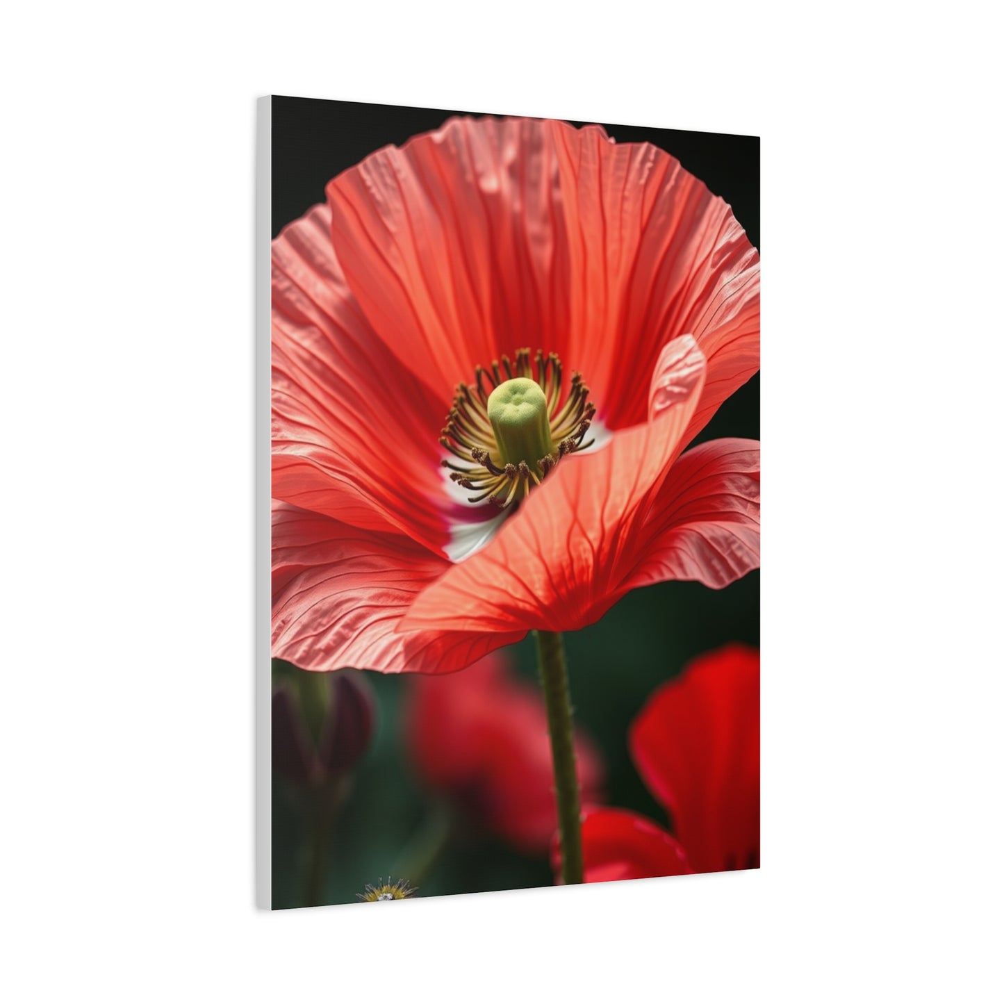 Poppy Flower Art Refined Canvas Wall Art & Canvas Print