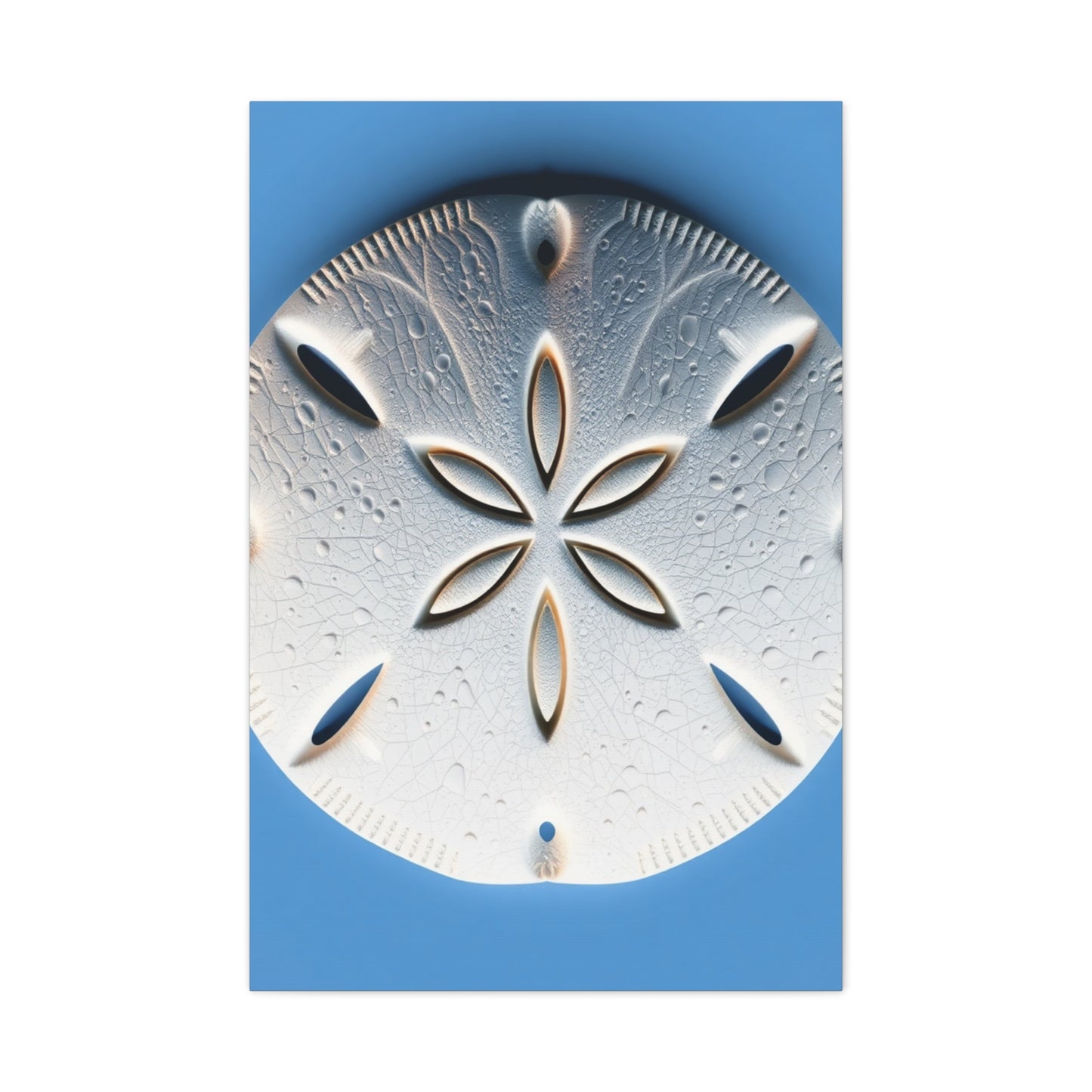 Sand Dollar Art Supreme Gallery Wall Art & Canvas Print