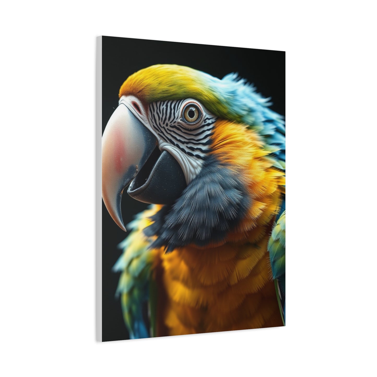 Parrot Art Refined Canvas Wall Art & Canvas Print