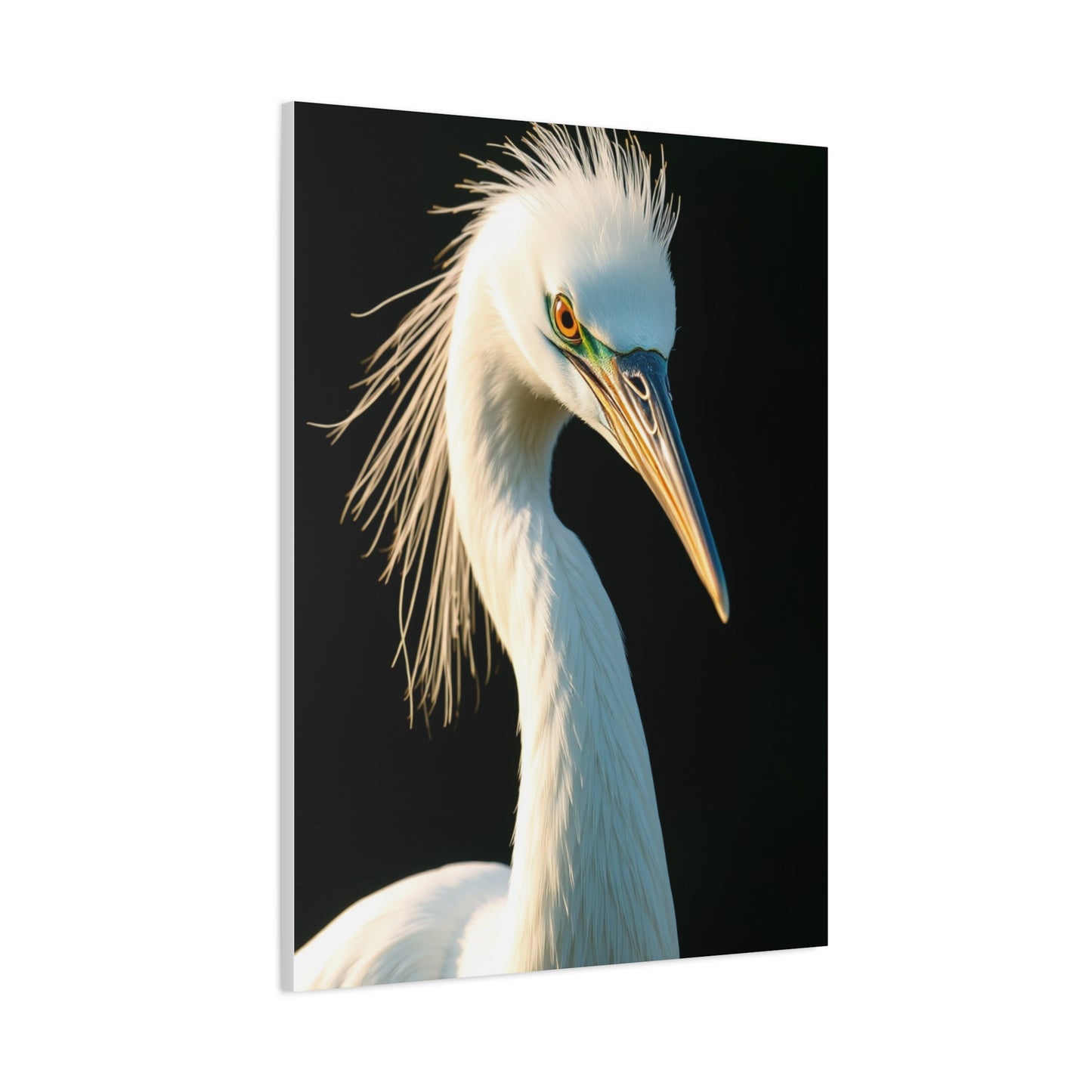 Collection Egret Art Art Wall Art & Canvas Print