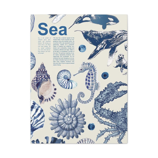 Beautiful Sea Creatures Poster Wall Art & Canvas Prints