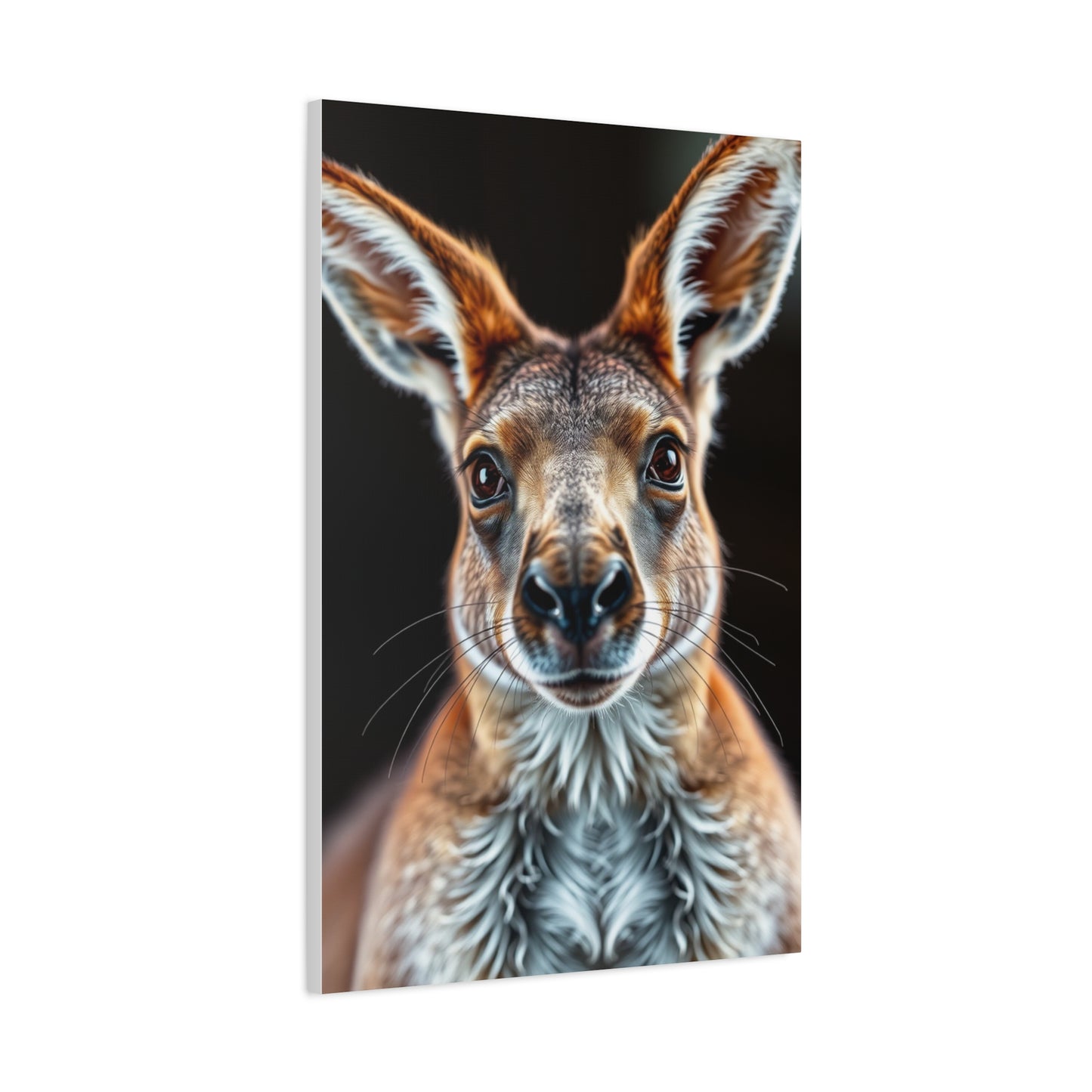 Kangaroo Art Supreme Gallery Wall Art & Canvas Print