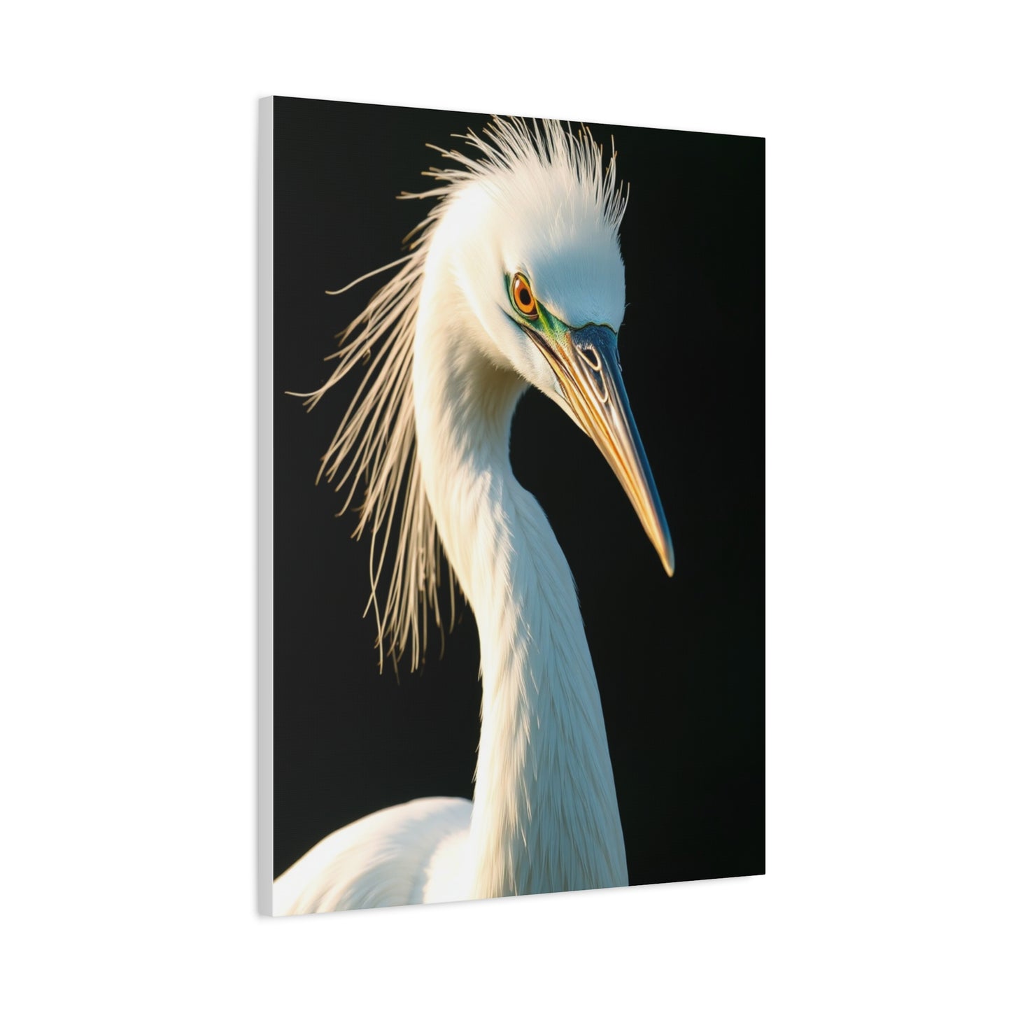 Collection Egret Art Art Wall Art & Canvas Print