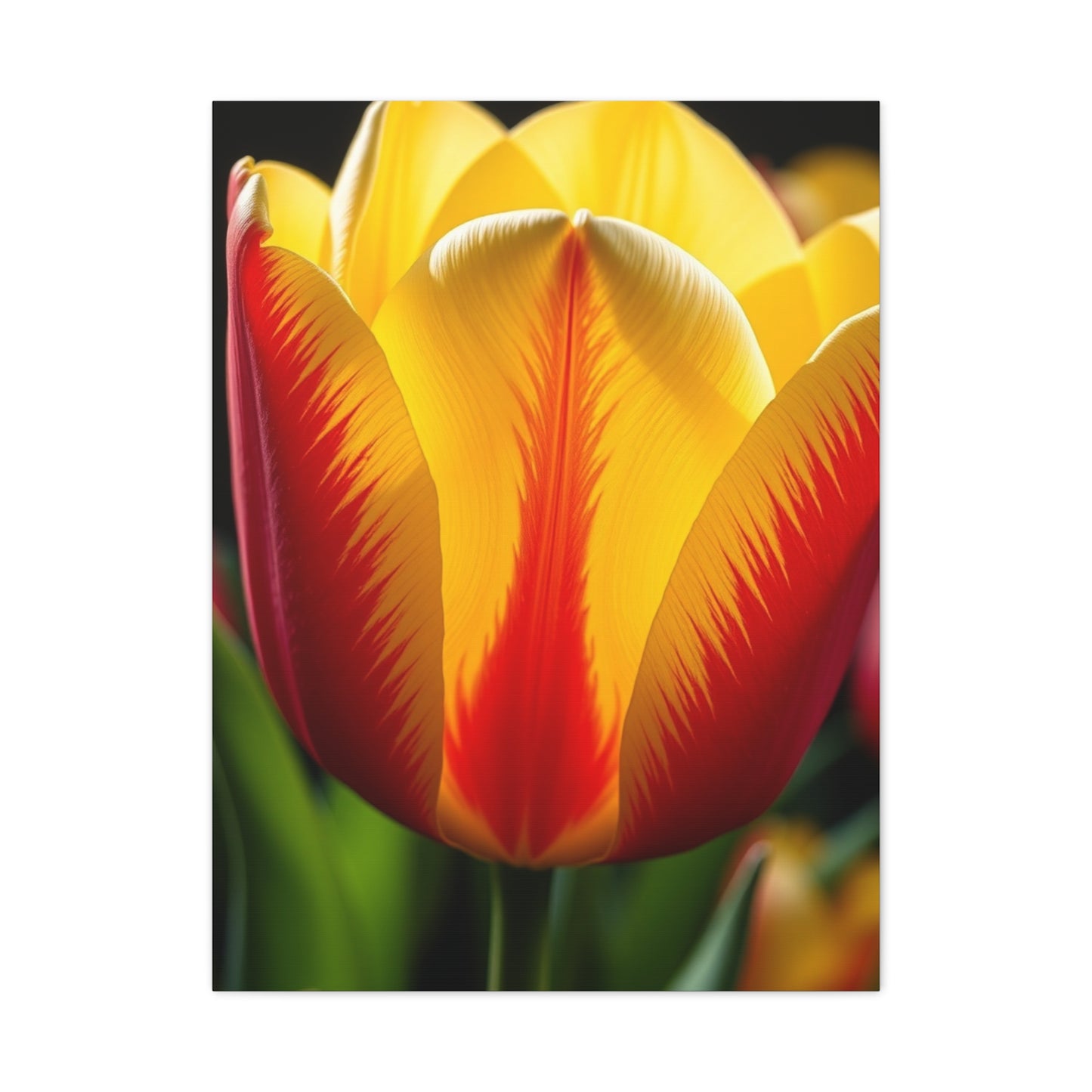Tulip Flower Art Supreme Gallery Wall Art & Canvas Print
