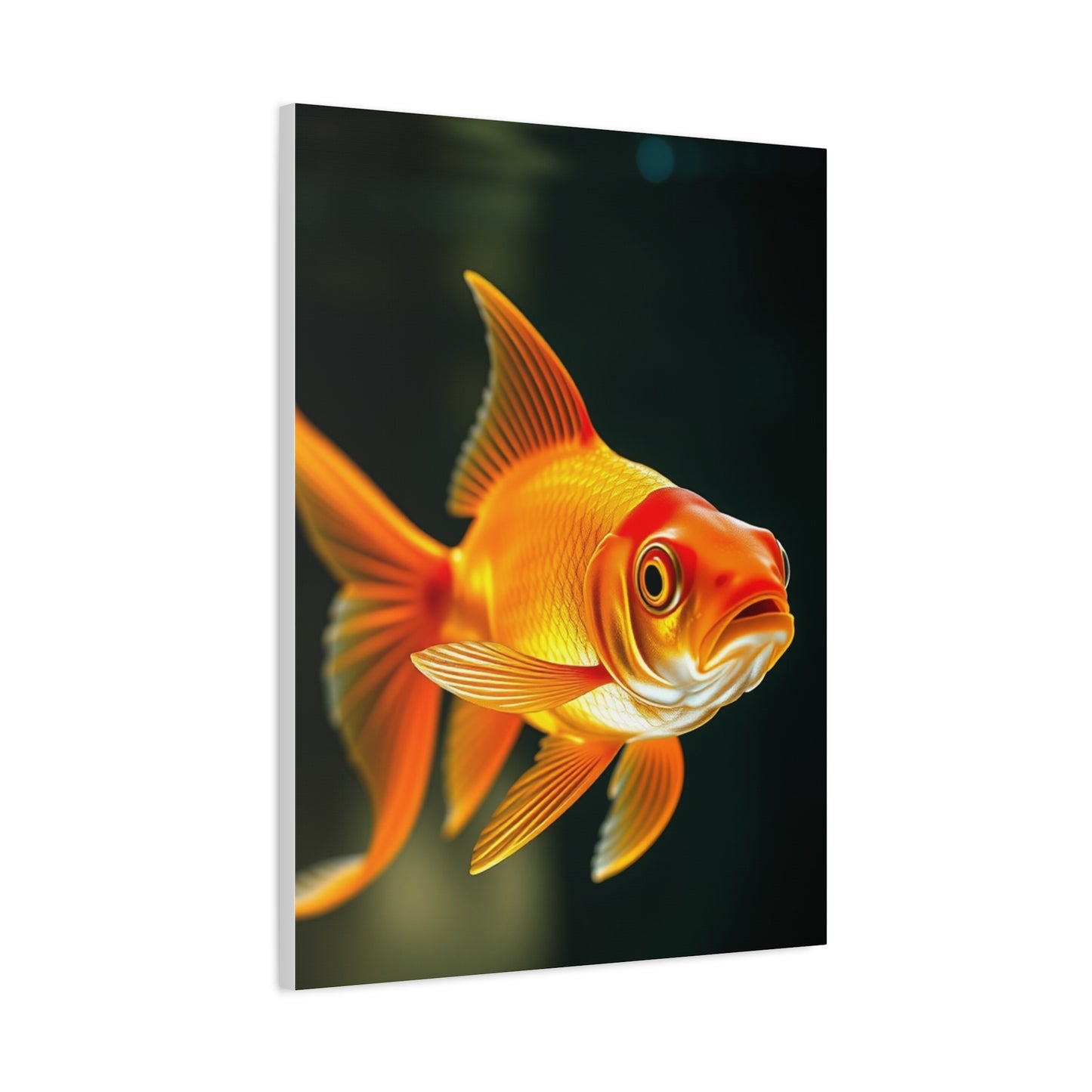Goldfish Art Supreme Gallery Wall Art & Canvas Print