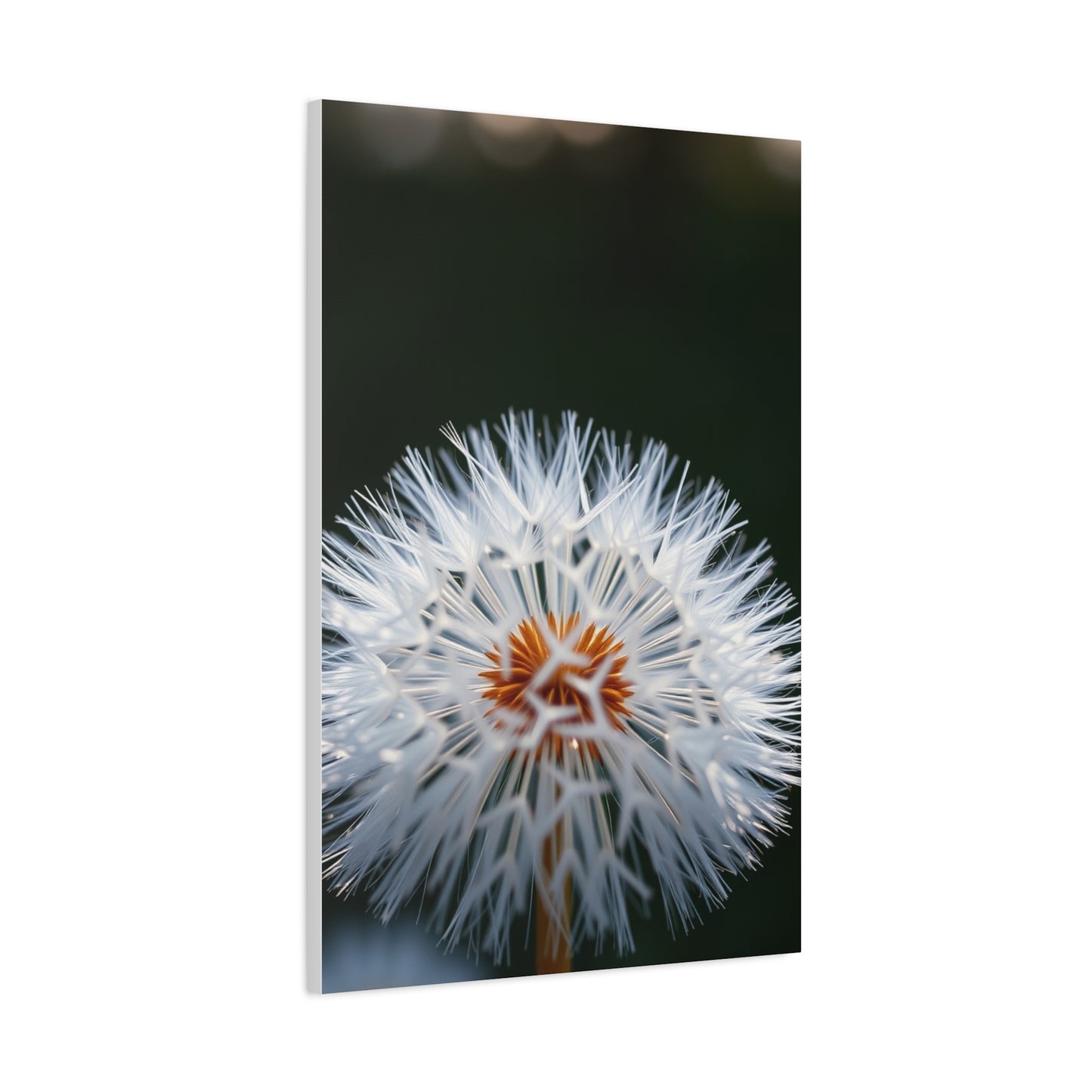 Elite Dandelion Flower Art Vision Wall Art & Canvas Print