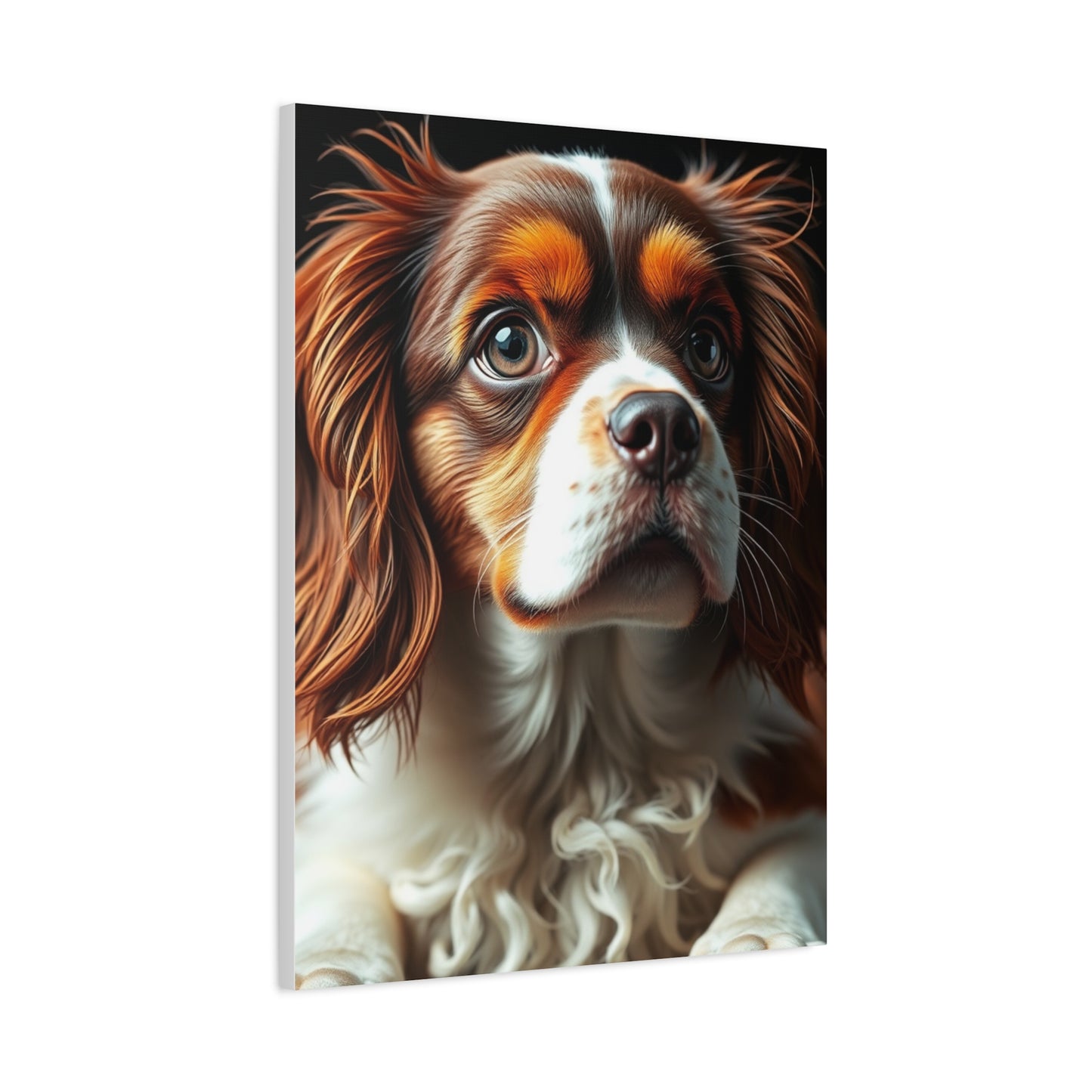 Elite Cavalier King Charles Spaniels Art Vision Wall Art & Canvas Print
