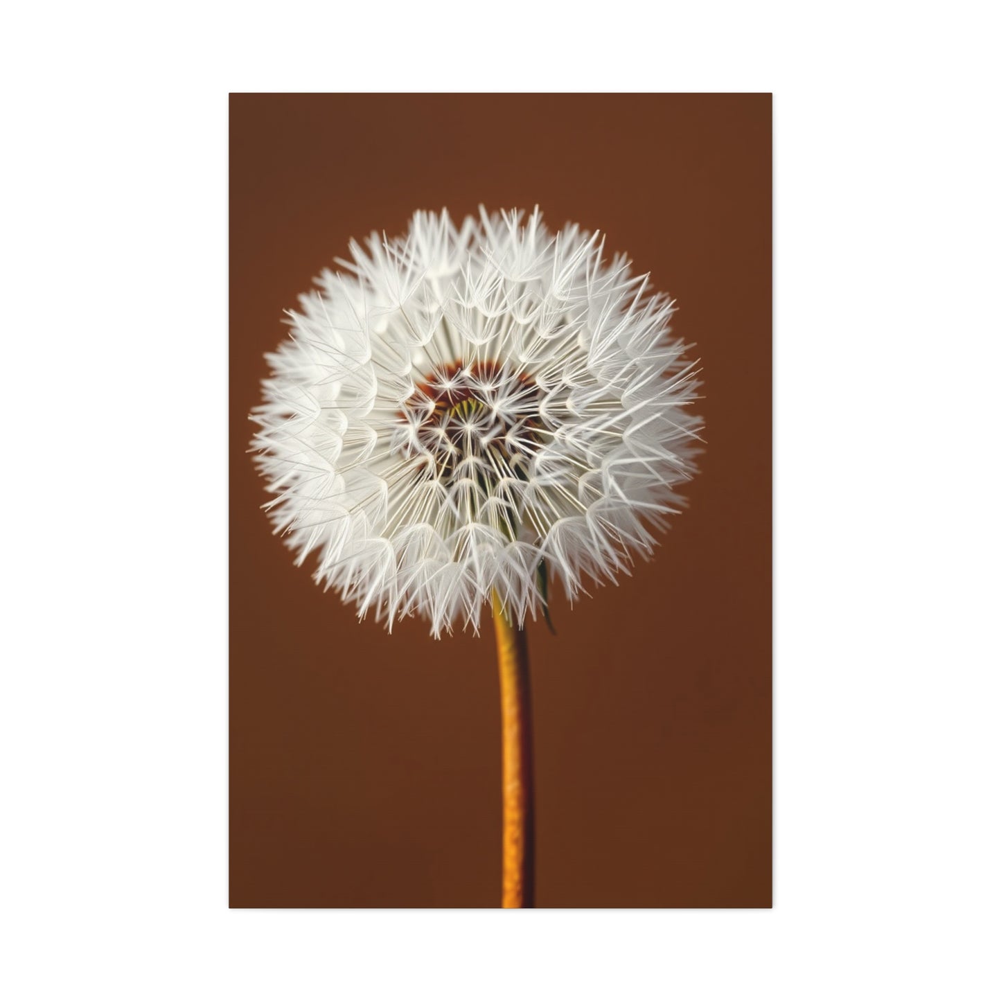 Supreme Dandelion Flower Art Collection Wall Art & Canvas Print