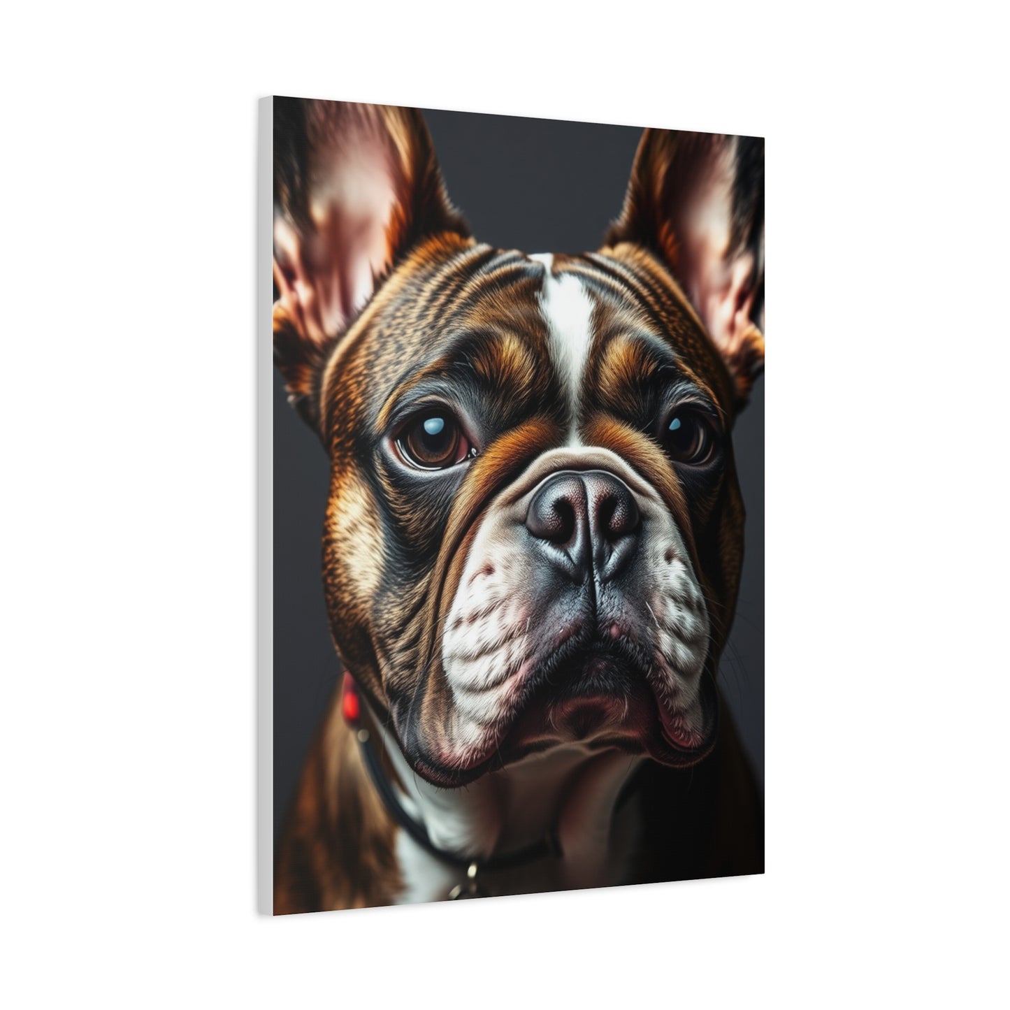 Supreme French Bulldog Art Collection Wall Art & Canvas Print