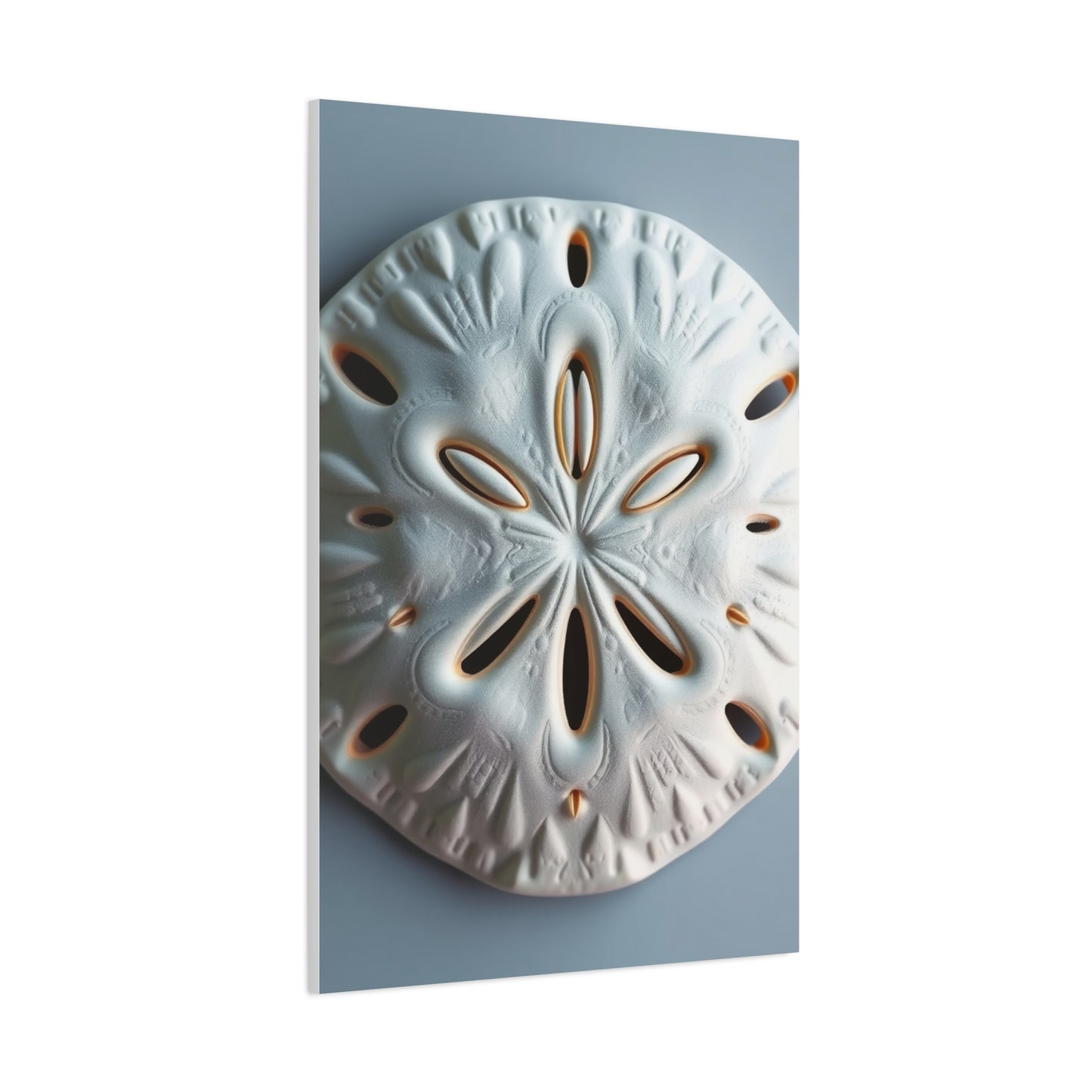 Supreme Sand Dollar Art Collection Wall Art & Canvas Print