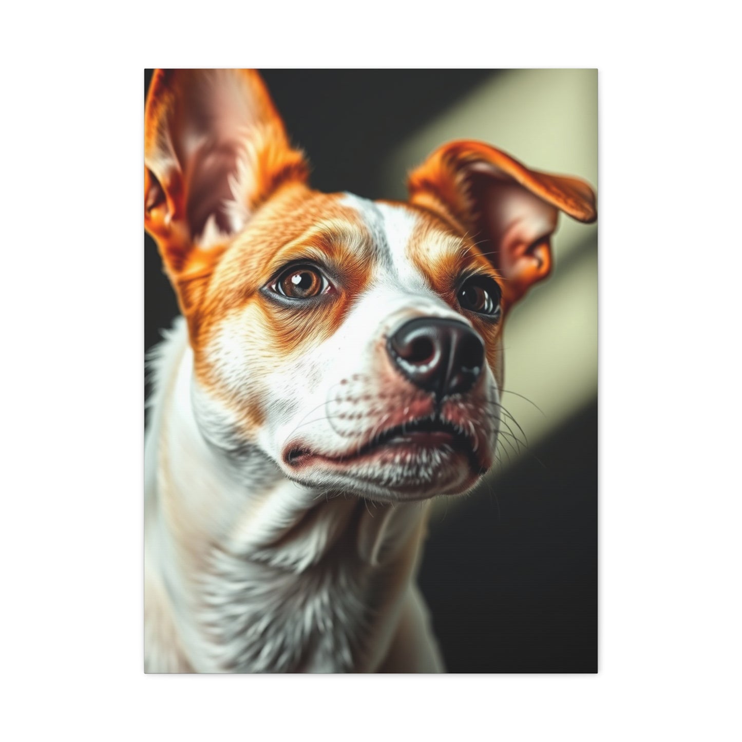 Supreme Jack Russell Terrier Art Collection Wall Art & Canvas Print