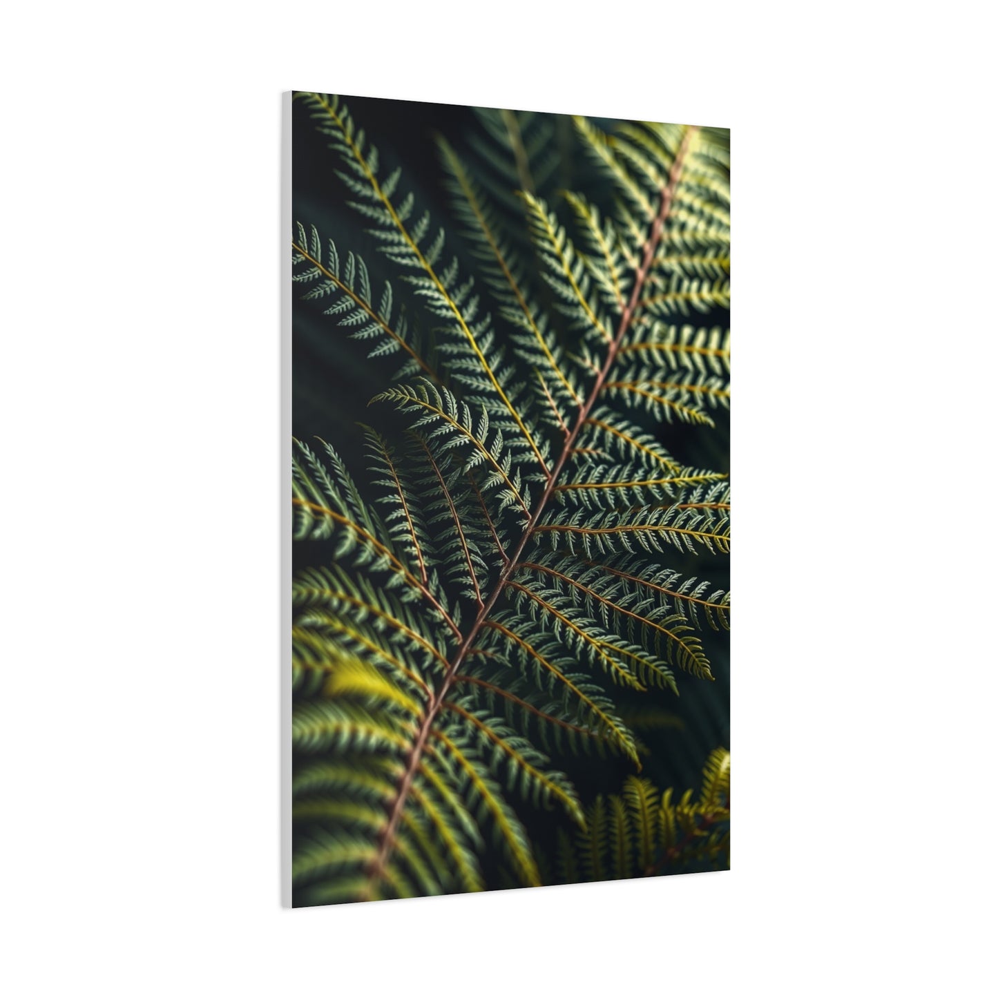 Supreme Fern Art Collection Wall Art & Canvas Print