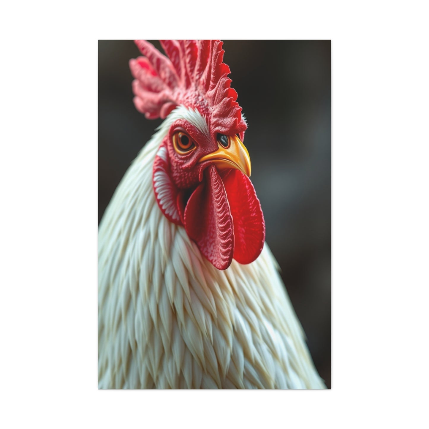 Elite Chicken & Rooster Wall Art Vision Wall Art & Canvas Print