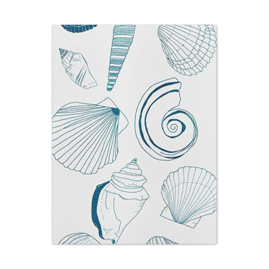 Beautiful Sea Shells Poster Wall Art & Canvas Prints