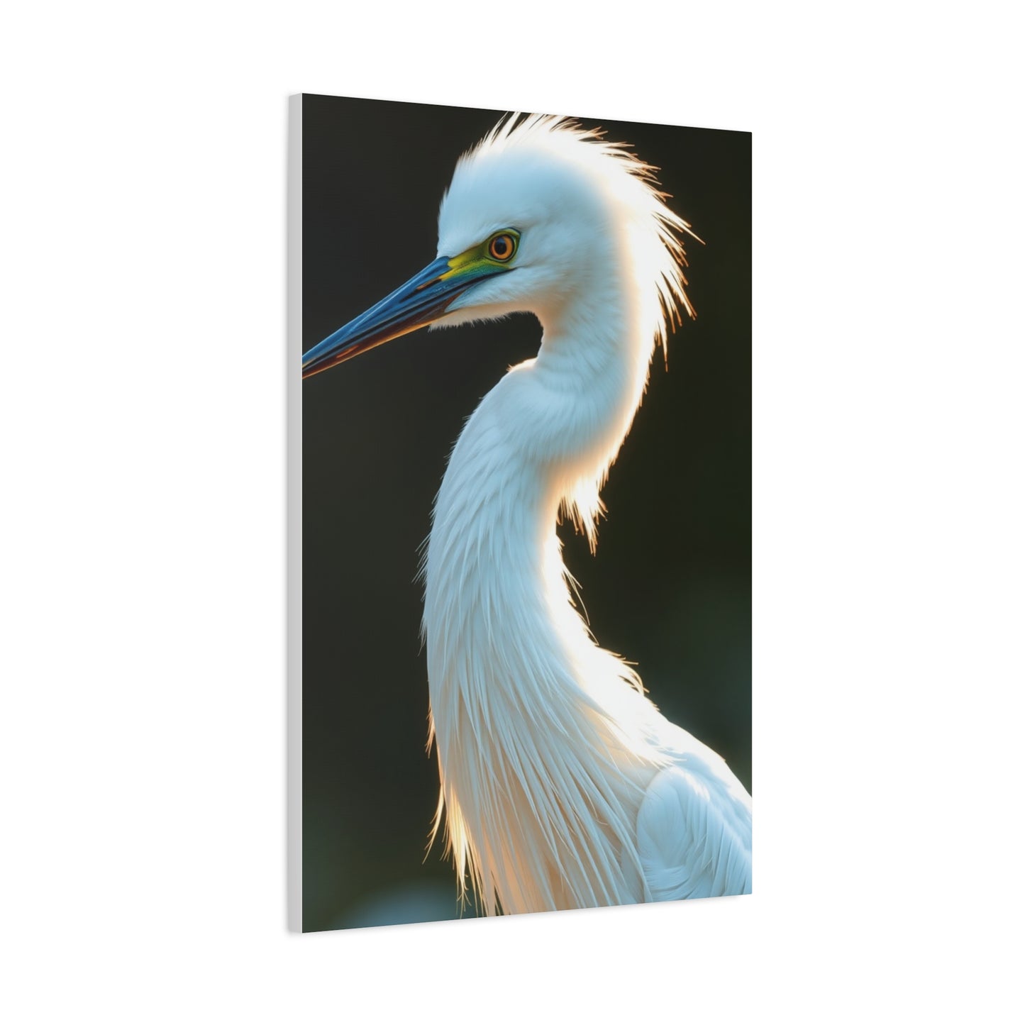 Supreme Egret Art Collection Wall Art & Canvas Print