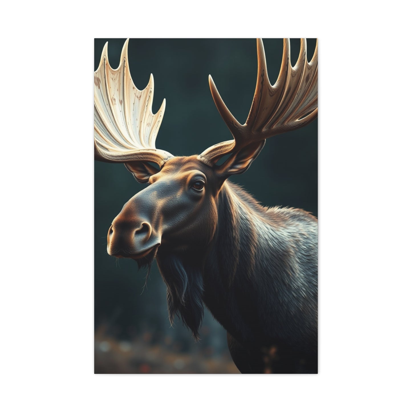 Moose Art Refined Canvas Wall Art & Canvas Print