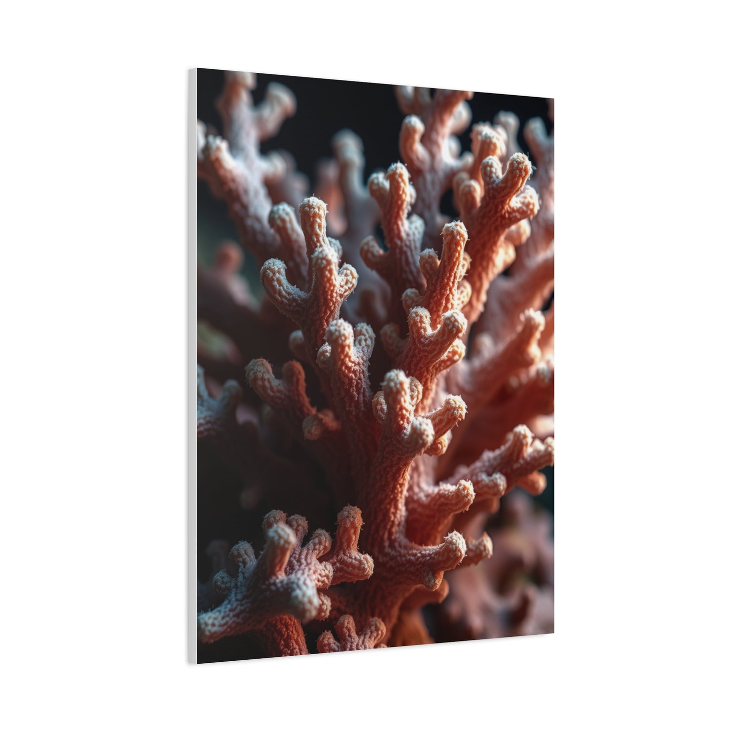Coral Art Luxury Canvas Wall Art & Canvas Print