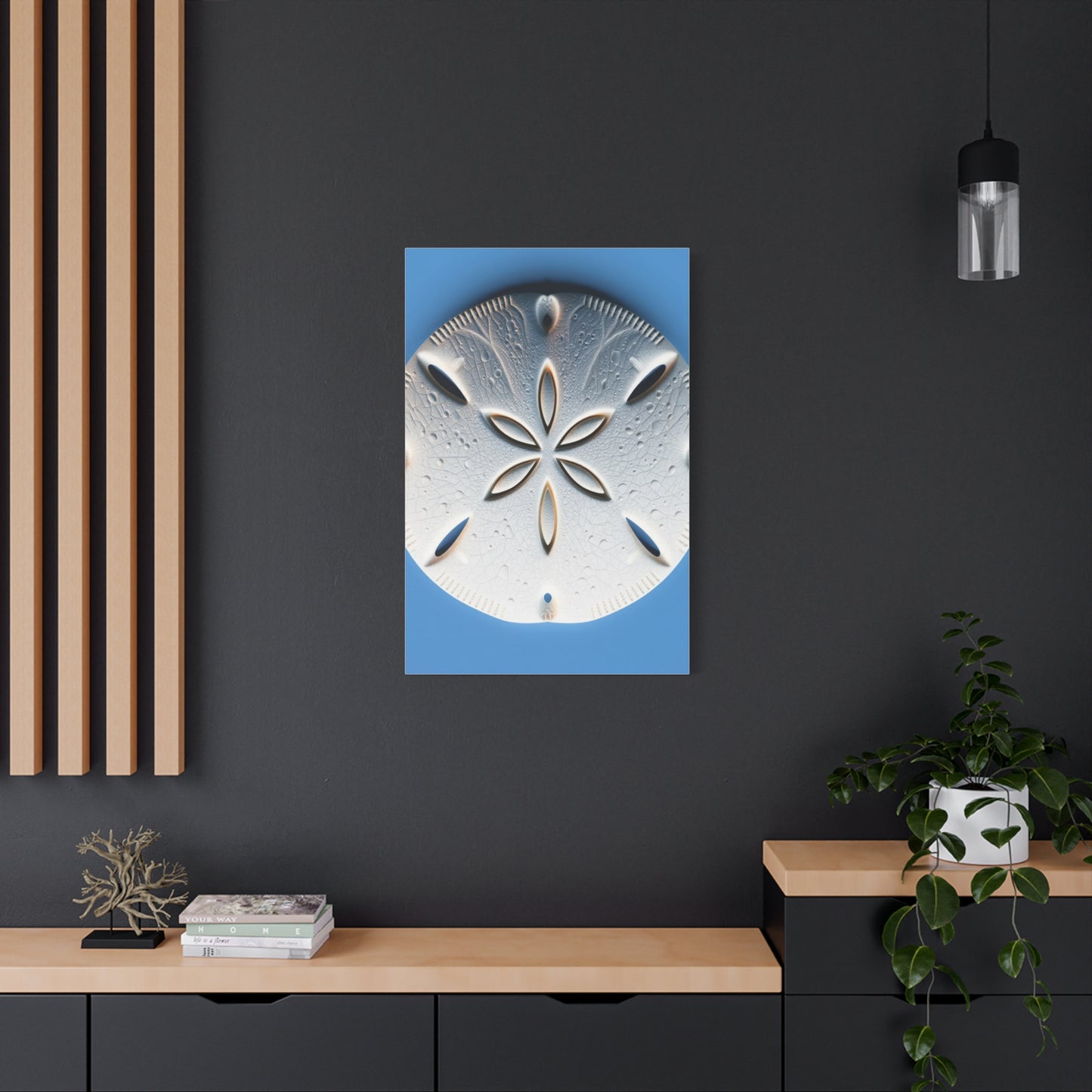 Sand Dollar Art Supreme Gallery Wall Art & Canvas Print