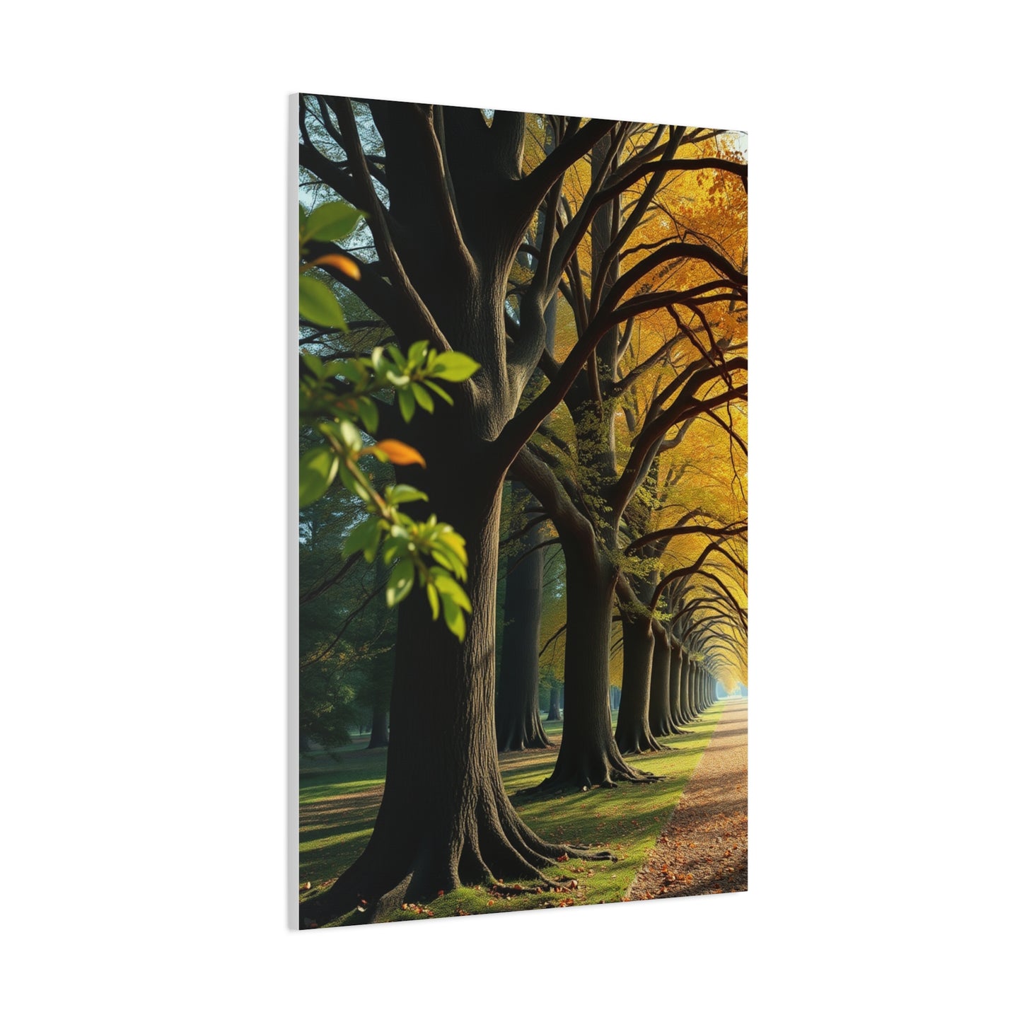 Supreme Trees Wall Art Collection Wall Art & Canvas Print