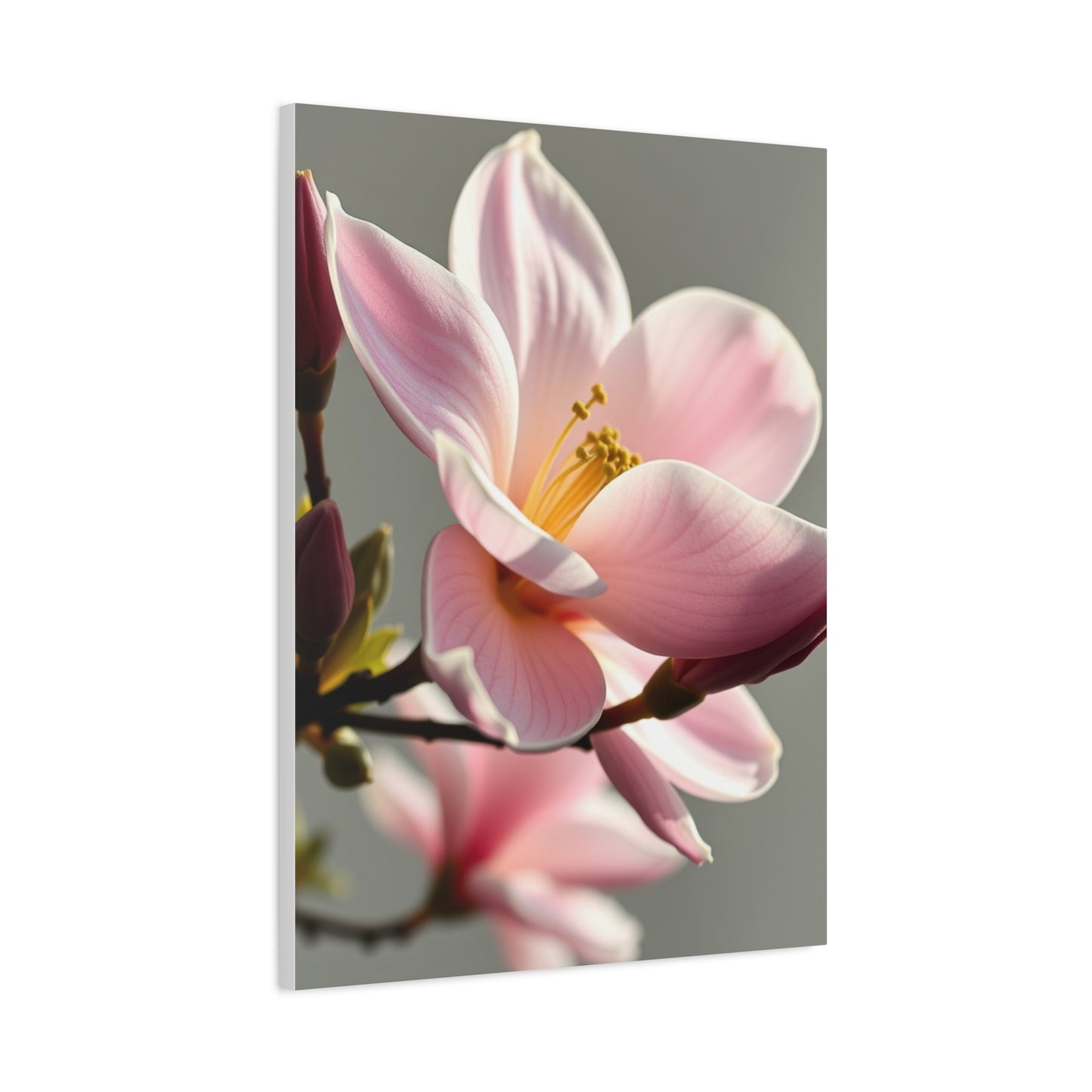 Magnolia Art Luxury Canvas Wall Art & Canvas Print